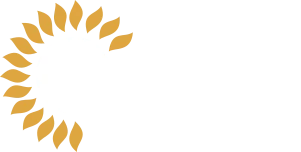 Ozônio - óleo ozonizado